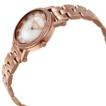 ساعة مايكل كورس للسيدات Michael Kors Watches MK3558
