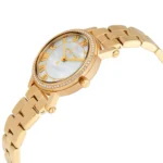 ساعة مايكل كورس للسيدات Michael Kors Watches MK3682